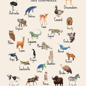 Abécédaire des animaux